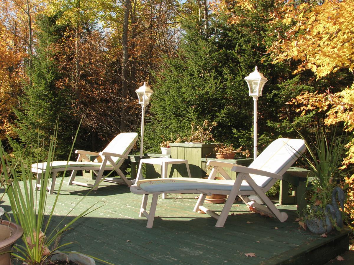 Arkadia Eastman B&B Extérieur photo