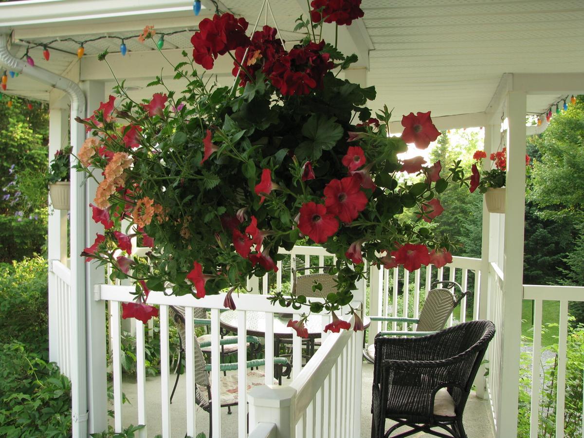 Arkadia Eastman B&B Extérieur photo